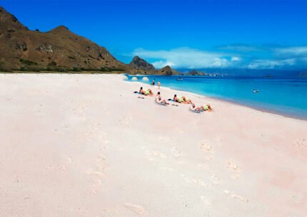 Komodo Tour Pacakges 2 days 1 Night from Bali
