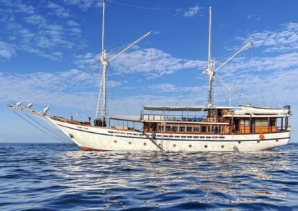 Komodo Dive Liveaboard Start From Bali