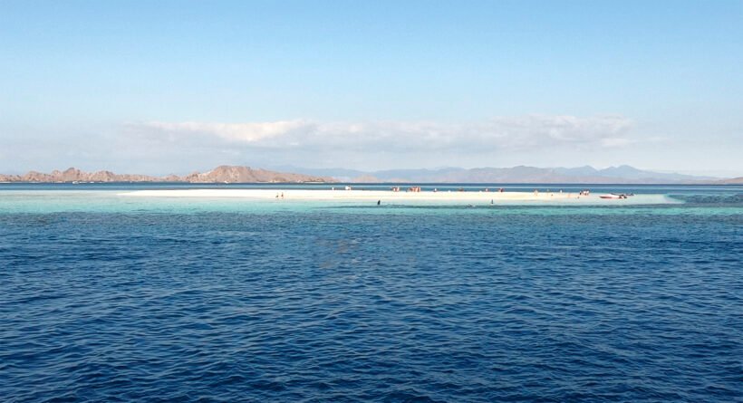 Takamakasar