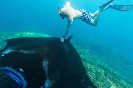 Nusa Penida Manta Point Private Snorkeling Tour from Bali