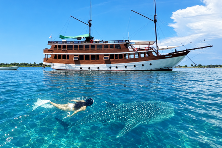 Luxury Komodo Island & Sumbawa Whale Shark Liveaboard from Labuan Bajo – 7 Days 6 Nights Expedition