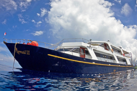 Experience the Bali Komodo Whale Shark Dive Liveaboard. Explore Saleh Bay, dive vibrant reefs, and discover Komodo’s islands with a return to Bali.