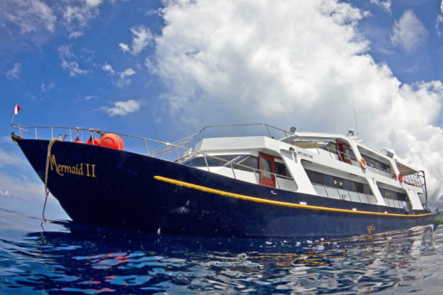 Experience the Bali Komodo Whale Shark Dive Liveaboard. Explore Saleh Bay, dive vibrant reefs, and discover Komodo’s islands with a return to Bali.